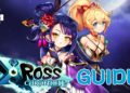 xross chronicle guide