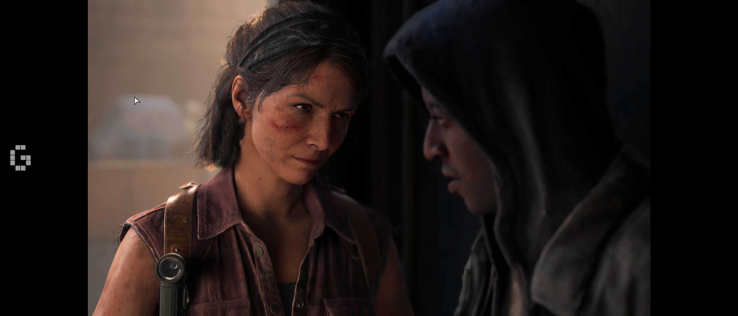 Last of Us PC